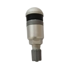 TPMS09 562-3913
